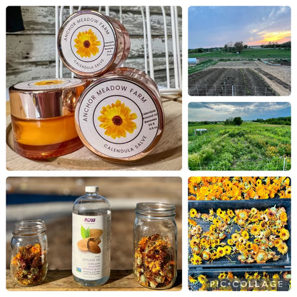 Calendula Salve